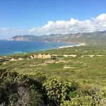 Lory גונזה